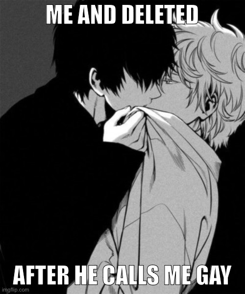 Gay anime boys kissing | ME AND DELETED AFTER HE CALLS ME GAY | image tagged in gay anime boys kissing | made w/ Imgflip meme maker