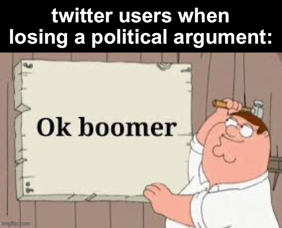 hmm | twitter users when losing a political argument: | image tagged in ok boomer | made w/ Imgflip meme maker