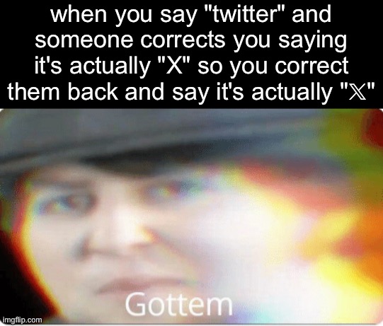 ? lore | when you say "twitter" and someone corrects you saying it's actually "X" so you correct them back and say it's actually "𝕏" | image tagged in gottem | made w/ Imgflip meme maker