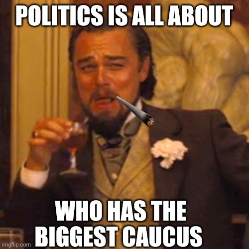Biggest causes | POLITICS IS ALL ABOUT; WHO HAS THE BIGGEST CAUCUS | image tagged in memes,laughing leo,hownig,is your | made w/ Imgflip meme maker
