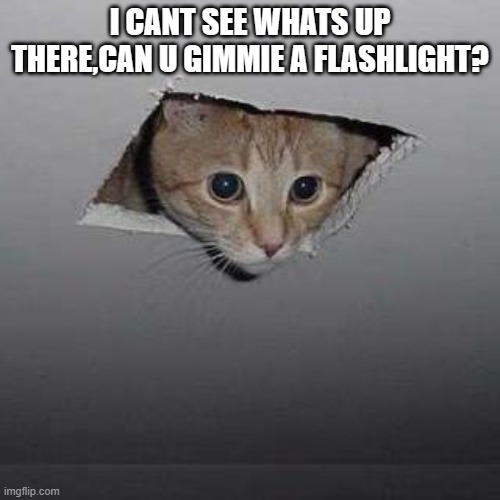 Ceiling Cat | I CANT SEE WHATS UP THERE,CAN U GIMMIE A FLASHLIGHT? | image tagged in memes,ceiling cat | made w/ Imgflip meme maker