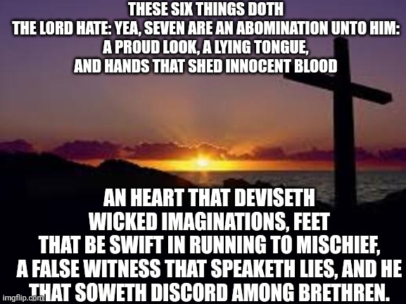 CROSS | THESE SIX THINGS DOTH THE LORD HATE: YEA, SEVEN ARE AN ABOMINATION UNTO HIM:

A PROUD LOOK, A LYING TONGUE, AND HANDS THAT SHED INNOCENT BLOOD; AN HEART THAT DEVISETH WICKED IMAGINATIONS, FEET THAT BE SWIFT IN RUNNING TO MISCHIEF,

A FALSE WITNESS THAT SPEAKETH LIES, AND HE THAT SOWETH DISCORD AMONG BRETHREN. | image tagged in cross | made w/ Imgflip meme maker