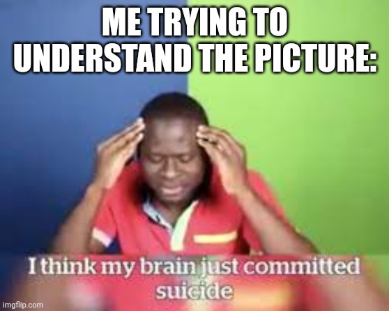 I think my brain just committed suicide | ME TRYING TO UNDERSTAND THE PICTURE: | image tagged in i think my brain just committed suicide | made w/ Imgflip meme maker