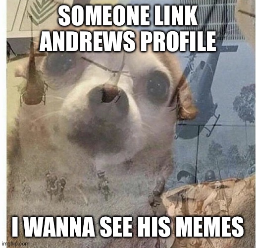pls | SOMEONE LINK ANDREWS PROFILE; I WANNA SEE HIS MEMES | image tagged in ptsd chihuahua | made w/ Imgflip meme maker