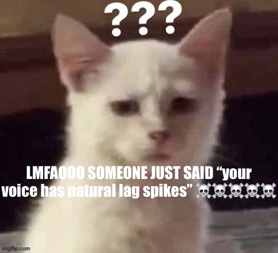 ? | LMFAOOO SOMEONE JUST SAID “your voice has natural lag spikes” ☠️☠️☠️☠️☠️ | made w/ Imgflip meme maker