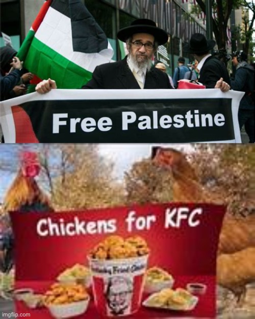 Bro what | image tagged in chickens for kfc | made w/ Imgflip meme maker