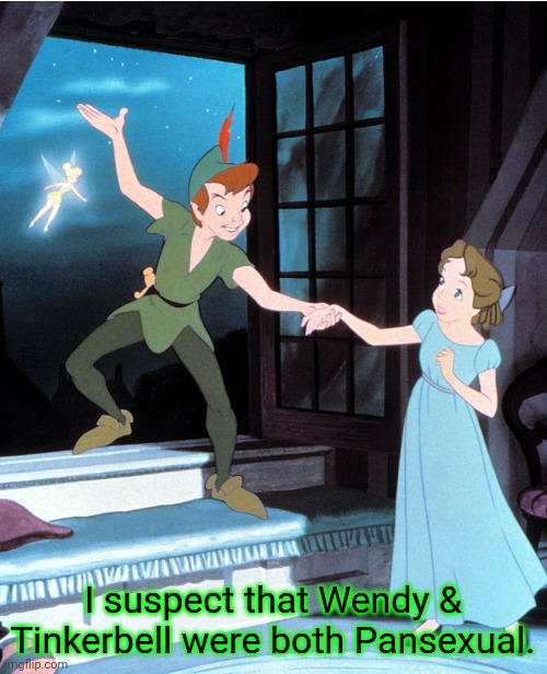 Too bad that the object of their affection was asexual. | I suspect that Wendy & Tinkerbell were both Pansexual. | image tagged in peter pan and wendy,threesome,jealousy,triangles are sharp | made w/ Imgflip meme maker