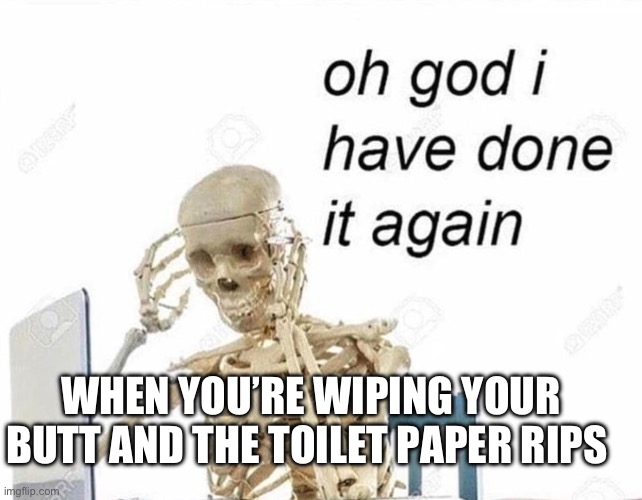 ripped toilet paper | WHEN YOU’RE WIPING YOUR BUTT AND THE TOILET PAPER RIPS | image tagged in oh god i have done it again | made w/ Imgflip meme maker