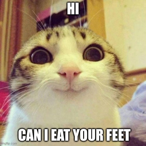 deez nutz | HI; CAN I EAT YOUR FEET | image tagged in memes,smiling cat | made w/ Imgflip meme maker