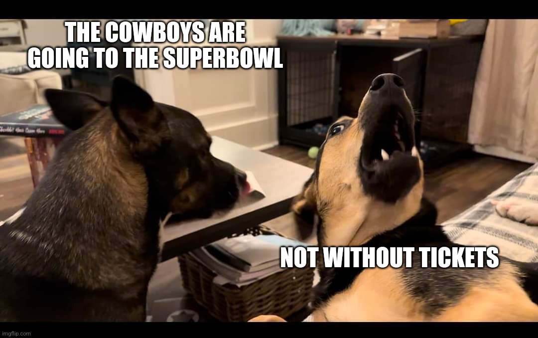 Cowboys Superbowl Dis | THE COWBOYS ARE GOING TO THE SUPERBOWL; NOT WITHOUT TICKETS | image tagged in dallas cowboys,cowboys,funny,dogs,memes,superbowl | made w/ Imgflip meme maker