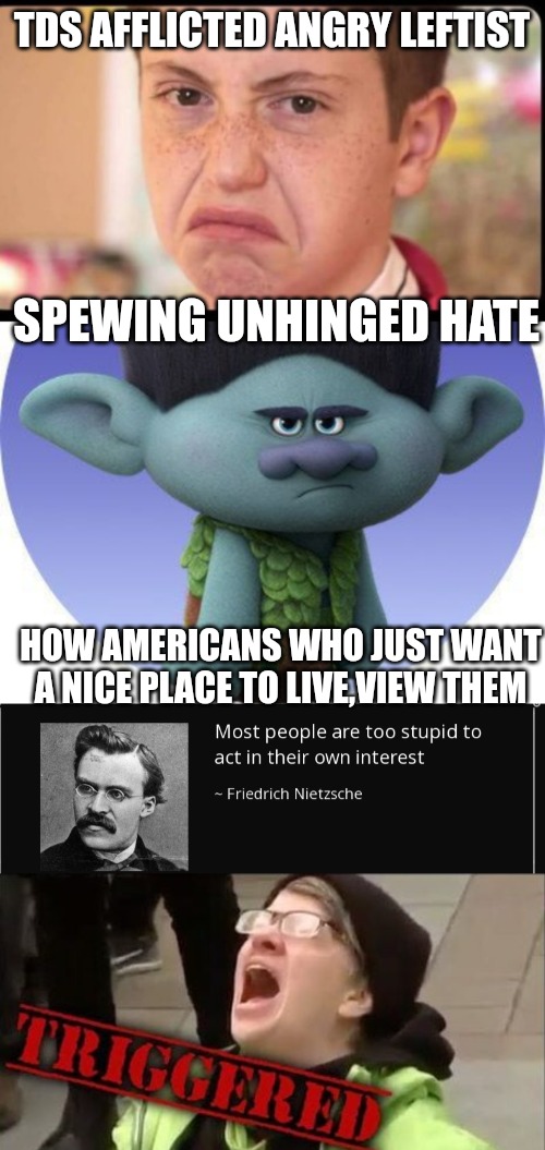 Unhinged civilization destroying hate | TDS AFFLICTED ANGRY LEFTIST; SPEWING UNHINGED HATE; HOW AMERICANS WHO JUST WANT A NICE PLACE TO LIVE,VIEW THEM | made w/ Imgflip meme maker
