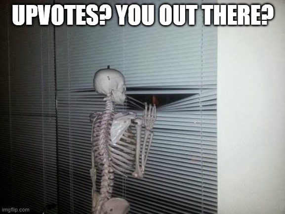 Upvotes are Scarce | UPVOTES? YOU OUT THERE? | image tagged in skeleton looking out window | made w/ Imgflip meme maker