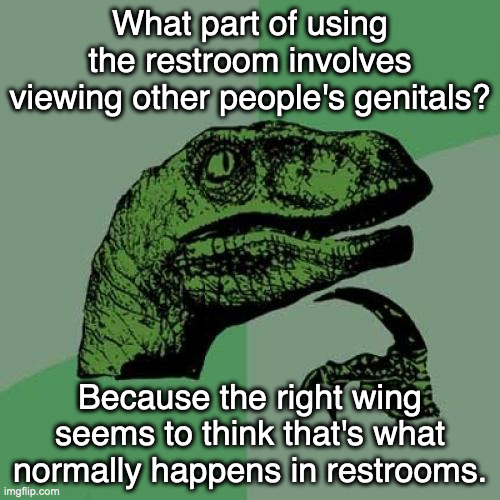 You go into the bathroom, you use the bathroom, you get out of the bathroom. No hanging around. | What part of using the restroom involves viewing other people's genitals? Because the right wing seems to think that's what normally happens in restrooms. | image tagged in memes,philosoraptor,funny,politics,lgbtq | made w/ Imgflip meme maker