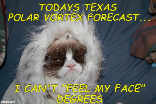 Cold grumpy cat  | TODAYS TEXAS
 POLAR VORTEX FORECAST... DR; I CAN'T "FEEL MY FACE"
 DEGREES | image tagged in cold grumpy cat | made w/ Imgflip meme maker