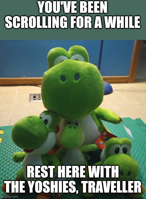 Rest. | YOU'VE BEEN SCROLLING FOR A WHILE; REST HERE WITH THE YOSHIES, TRAVELLER | image tagged in memes,rest here,yoshi | made w/ Imgflip meme maker