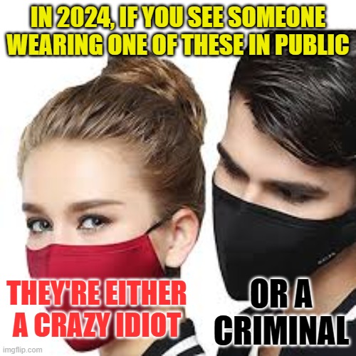 Masks in 2024 | IN 2024, IF YOU SEE SOMEONE WEARING ONE OF THESE IN PUBLIC; THEY'RE EITHER A CRAZY IDIOT; OR A CRIMINAL | image tagged in mask couple | made w/ Imgflip meme maker