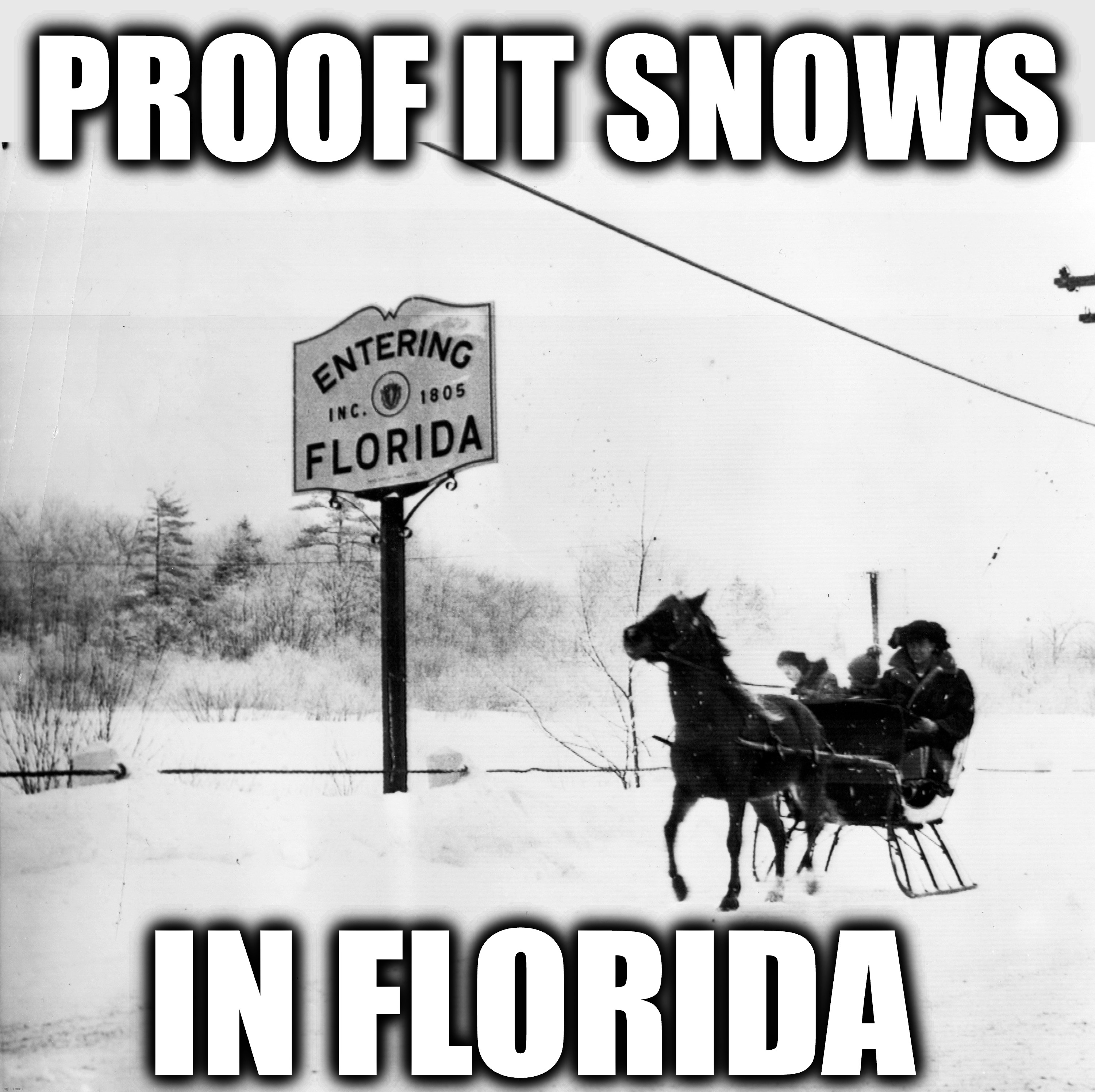 PROOF IT SNOWS; IN FLORIDA | image tagged in florida man | made w/ Imgflip meme maker