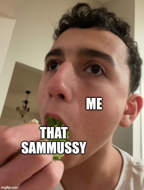 ObiWON lettuce | ME; THAT SAMMUSSY | image tagged in obiwon lettuce | made w/ Imgflip meme maker