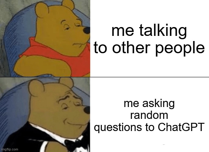 a | me talking to other people; me asking random questions to ChatGPT | image tagged in memes,tuxedo winnie the pooh | made w/ Imgflip meme maker
