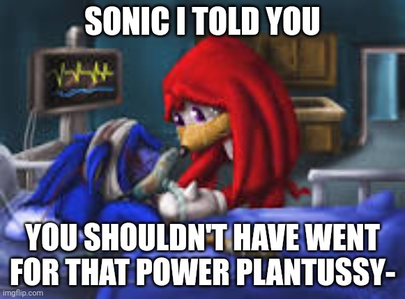 don't ask | SONIC I TOLD YOU; YOU SHOULDN'T HAVE WENT FOR THAT POWER PLANTUSSY- | image tagged in sonic i told you | made w/ Imgflip meme maker