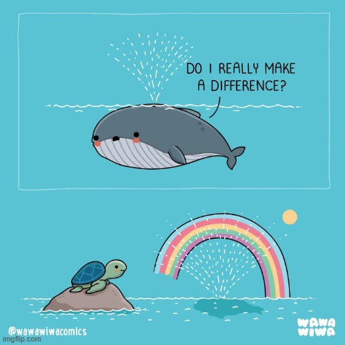 image tagged in whale,turtle,rainbow,difference | made w/ Imgflip meme maker