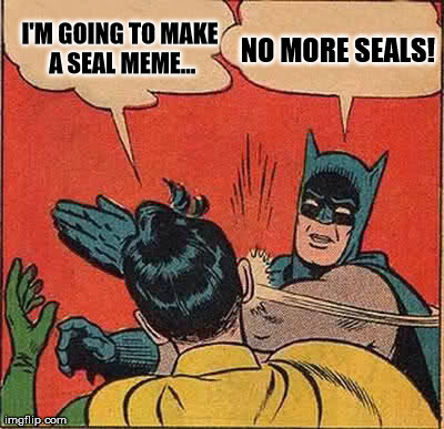 Sick of the seal | I'M GOING TO MAKE A SEAL MEME... NO MORE SEALS! | image tagged in memes,batman slapping robin | made w/ Imgflip meme maker