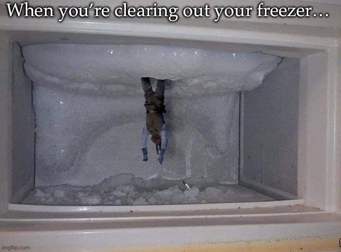 Freezer | When you’re clearing out your freezer… | image tagged in freezer,frozen,han solo | made w/ Imgflip meme maker