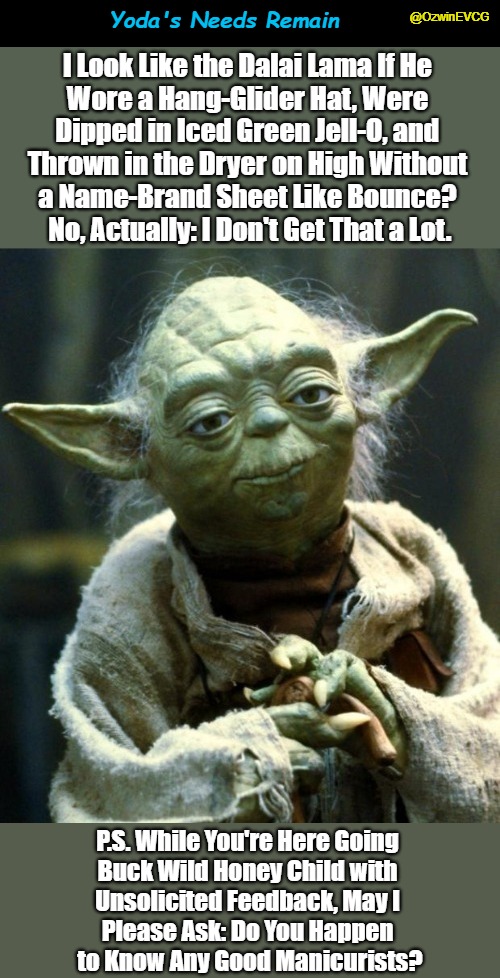 Yoda's Needs Remain | Yoda's Needs Remain; @OzwinEVCG; I Look Like the Dalai Lama If He 

Wore a Hang-Glider Hat, Were 

Dipped in Iced Green Jell-O, and 

Thrown in the Dryer on High Without 

a Name-Brand Sheet Like Bounce? 

No, Actually: I Don't Get That a Lot. P.S. While You're Here Going 

Buck Wild Honey Child with 

Unsolicited Feedback, May I 

Please Ask: Do You Happen 

to Know Any Good Manicurists? | image tagged in wants and needs,star wars yoda,trending dank memes,jedi patience,comparisons,that awkward moment | made w/ Imgflip meme maker