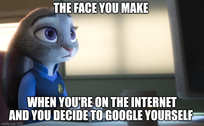 Judy's Search | THE FACE YOU MAKE; WHEN YOU'RE ON THE INTERNET AND YOU DECIDE TO GOOGLE YOURSELF | image tagged in judy hopps computer,zootopia,judy hopps,the face you make when,google search,funny | made w/ Imgflip meme maker