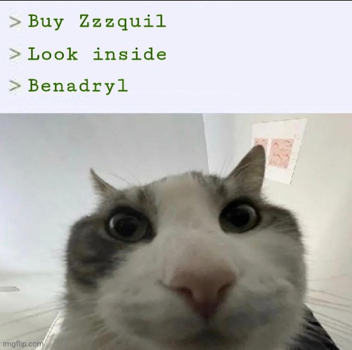 Same medicine, twice the price | Buy Zzzquil; Look inside; Benadryl | image tagged in cat looks inside,benadryl,zzzquil | made w/ Imgflip meme maker