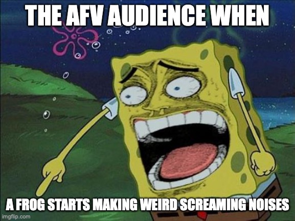 Spongebob laughing | THE AFV AUDIENCE WHEN; A FROG STARTS MAKING WEIRD SCREAMING NOISES | image tagged in spongebob laughing | made w/ Imgflip meme maker
