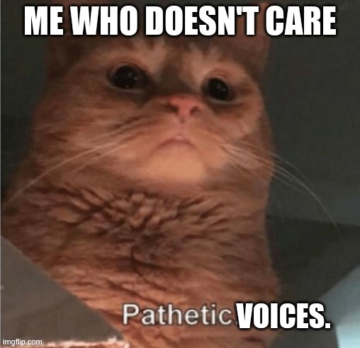 ME WHO DOESN'T CARE VOICES. | made w/ Imgflip meme maker