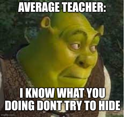 Shrek annoyed | AVERAGE TEACHER:; I KNOW WHAT YOU DOING DONT TRY TO HIDE | image tagged in shrek annoyed,shrek | made w/ Imgflip meme maker