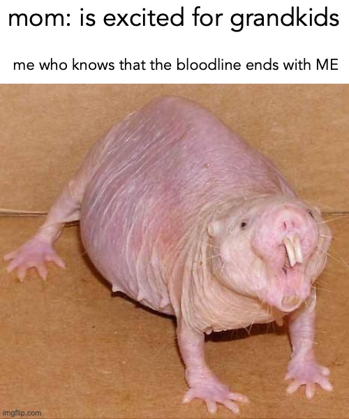XD | mom: is excited for grandkids; me who knows that the bloodline ends with ME | image tagged in naked mole rat,end,funny | made w/ Imgflip meme maker