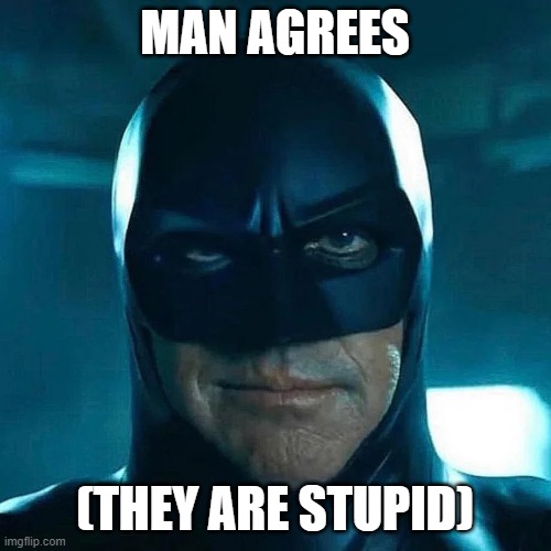 man | MAN AGREES (THEY ARE STUPID) | image tagged in man | made w/ Imgflip meme maker