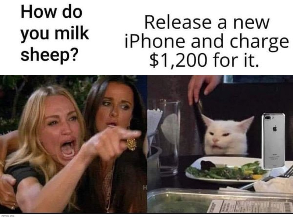 How do you milk sheep? | image tagged in stupid sheep,sheeple,stupid people,special kind of stupid,stupid liberals,you can't fix stupid | made w/ Imgflip meme maker