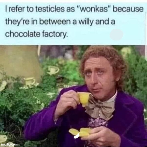 Willy`s Wonkas | image tagged in balls | made w/ Imgflip meme maker