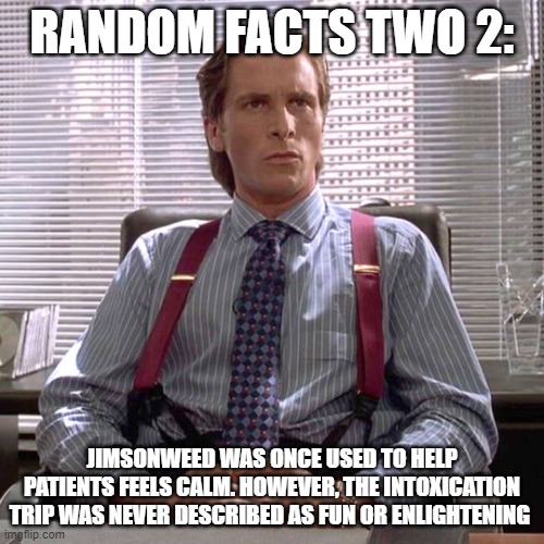 American Psycho - Sigma Male Desk | RANDOM FACTS TWO 2:; JIMSONWEED WAS ONCE USED TO HELP PATIENTS FEELS CALM. HOWEVER, THE INTOXICATION TRIP WAS NEVER DESCRIBED AS FUN OR ENLIGHTENING | image tagged in american psycho - sigma male desk | made w/ Imgflip meme maker