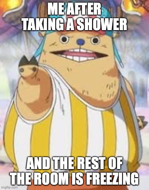 Kung-fu Point Chopper | ME AFTER TAKING A SHOWER; AND THE REST OF THE ROOM IS FREEZING | image tagged in kung-fu point chopper | made w/ Imgflip meme maker