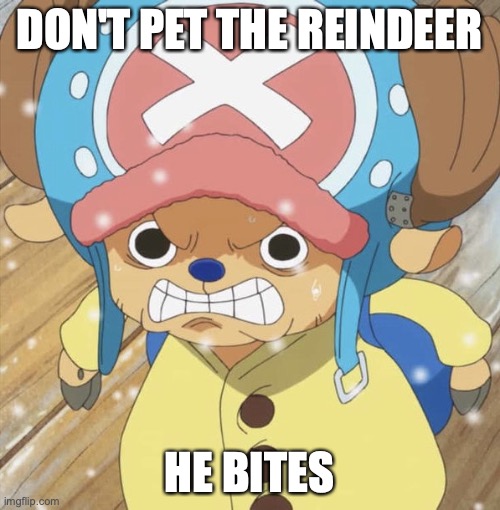 Angry Chopper | DON'T PET THE REINDEER; HE BITES | image tagged in angry chopper | made w/ Imgflip meme maker