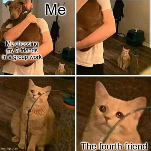 Sad Cat Holding Dog | Me; Me choosing my 3 friends in a group work; The fourth friend | image tagged in sad cat holding dog,friends,homies | made w/ Imgflip meme maker
