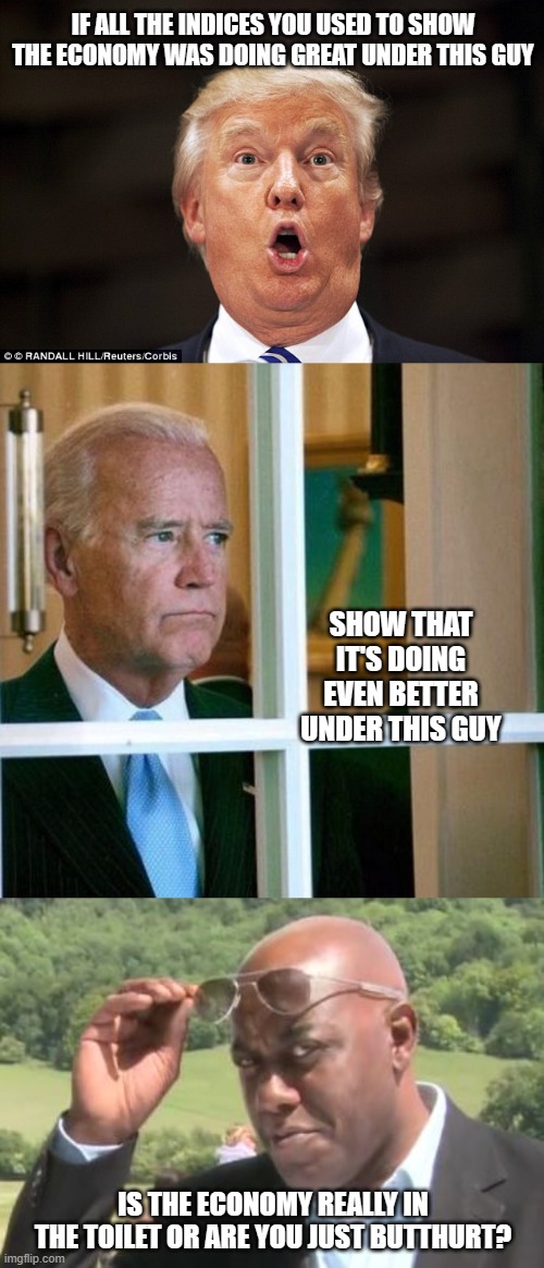 Well? | IF ALL THE INDICES YOU USED TO SHOW THE ECONOMY WAS DOING GREAT UNDER THIS GUY; SHOW THAT IT'S DOING EVEN BETTER UNDER THIS GUY; IS THE ECONOMY REALLY IN THE TOILET OR ARE YOU JUST BUTTHURT? | image tagged in trump stupid face,sad joe biden,oh really now ainsley,economy,talking heads,parrot | made w/ Imgflip meme maker