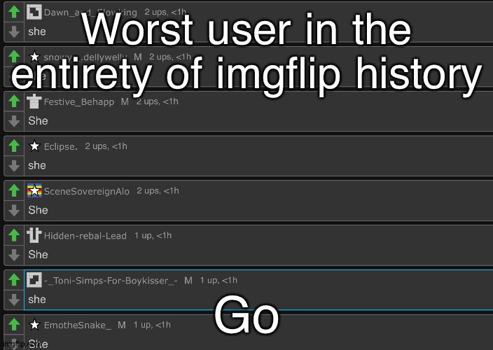 she | Worst user in the entirety of imgflip history; Go | image tagged in she | made w/ Imgflip meme maker