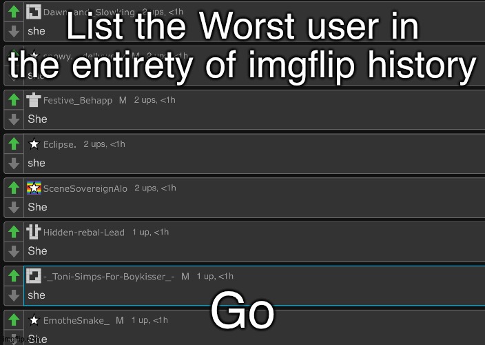 she | List the Worst user in the entirety of imgflip history; Go | image tagged in she | made w/ Imgflip meme maker