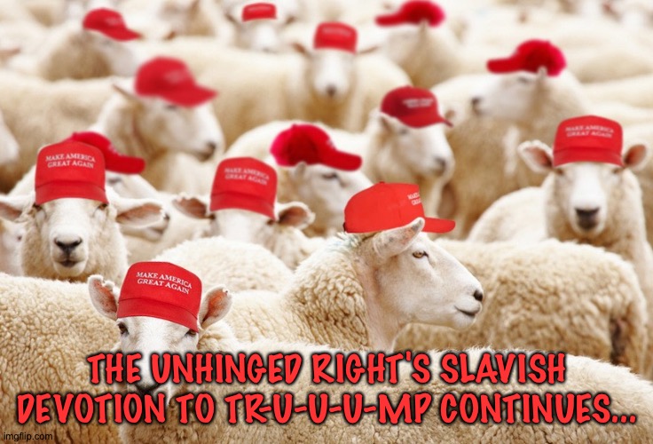 Business as usual among the Trump Fascists | THE UNHINGED RIGHT'S SLAVISH DEVOTION TO TR-U-U-U-MP CONTINUES... | image tagged in trump maga sheep | made w/ Imgflip meme maker