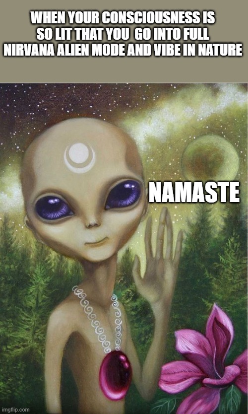 when your consciousness | WHEN YOUR CONSCIOUSNESS IS SO LIT THAT YOU  GO INTO FULL NIRVANA ALIEN MODE AND VIBE IN NATURE; NAMASTE | image tagged in spirituality | made w/ Imgflip meme maker