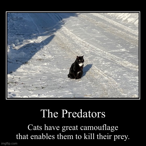 The Predators | Cats have great camouflage that enables them to kill their prey. | image tagged in funny,demotivationals,lol,relatable,relatable memes | made w/ Imgflip demotivational maker