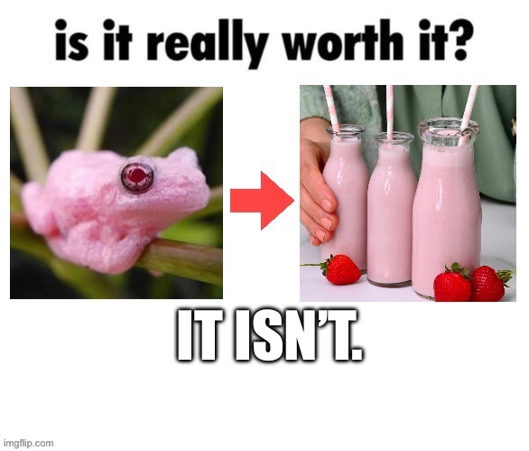 Is it really worth it? | IT ISN’T. | image tagged in frog week | made w/ Imgflip meme maker