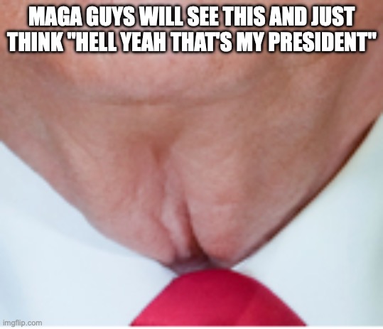 Donald Trump Neck | MAGA GUYS WILL SEE THIS AND JUST THINK "HELL YEAH THAT'S MY PRESIDENT" | image tagged in donald trump neck | made w/ Imgflip meme maker