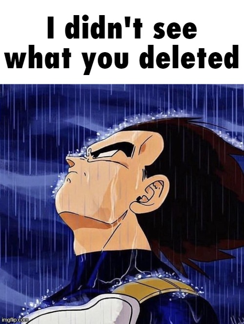 I Didn't See What You Deleted | image tagged in i didn't see what you deleted | made w/ Imgflip meme maker